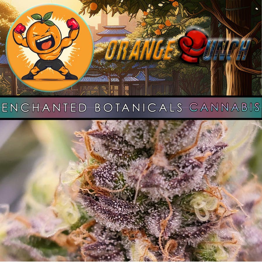 Enchanted Botanicals - Orange Punch