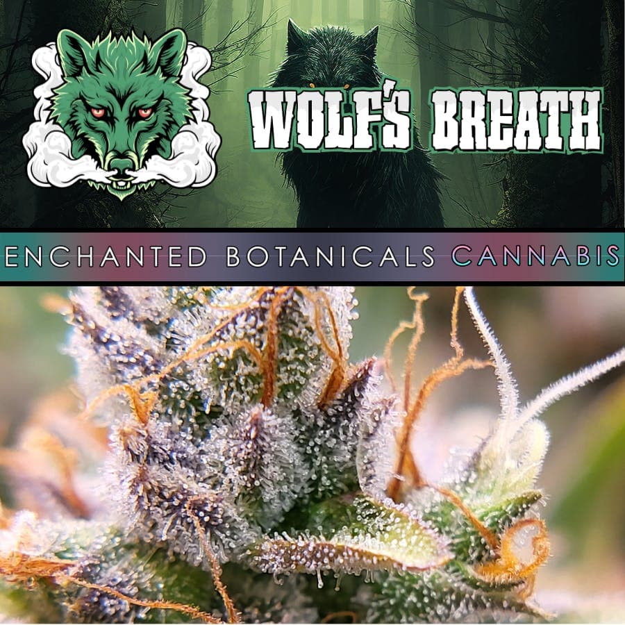 Allsick - Wolf's Breath by Enchanted Botanicals