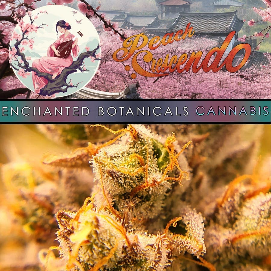 Enchanted Botanicals - Peach Crescendo