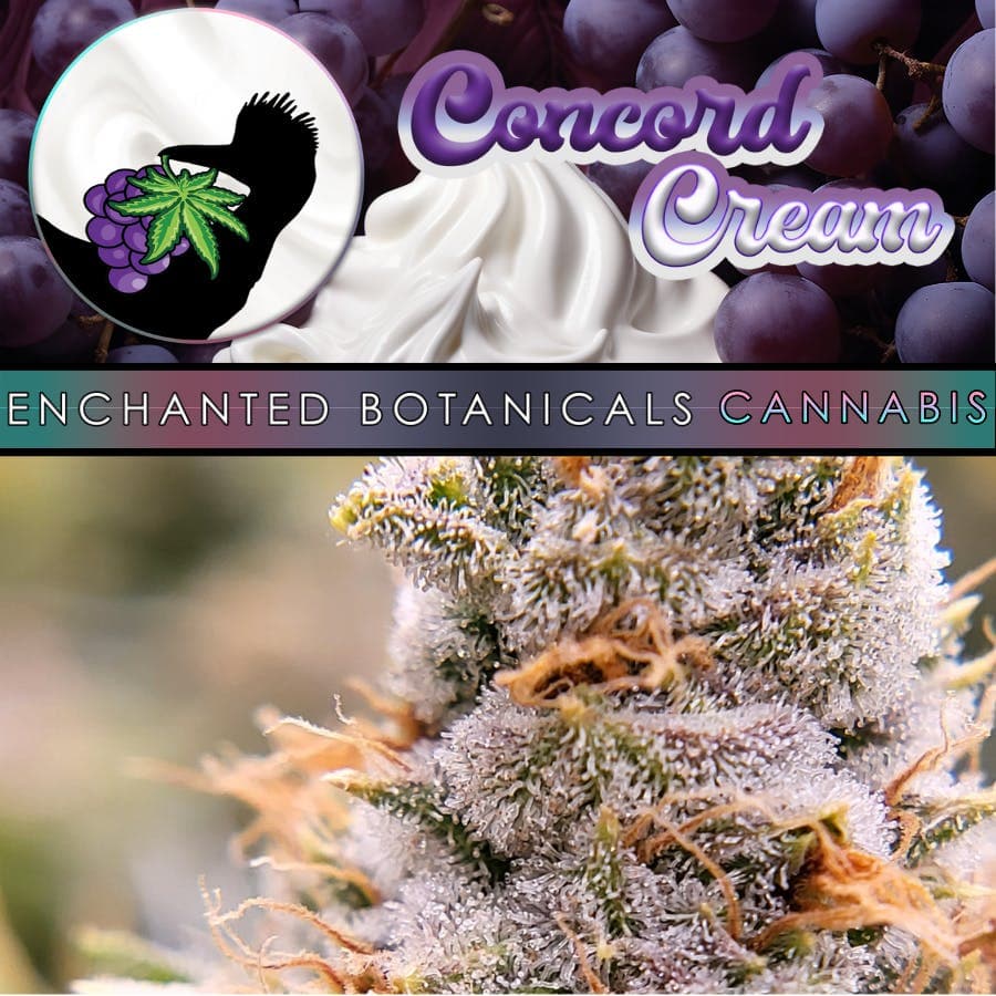Enchanted Botanicals - Concord Cream