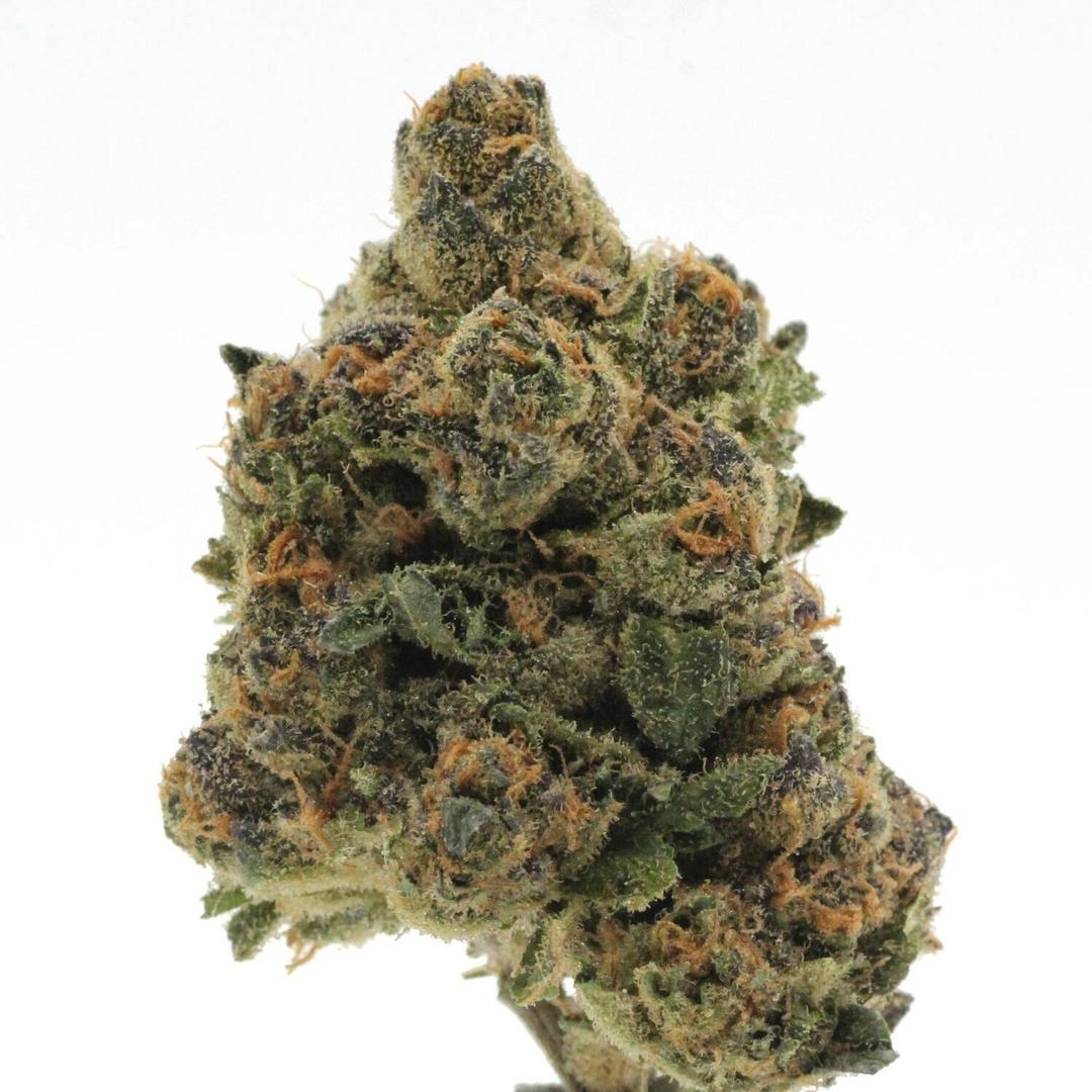 Horchata | Flower | 28g