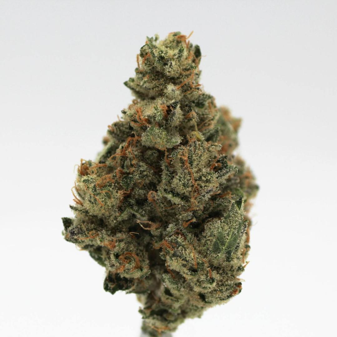 Lemon Winks | Flower | 14g