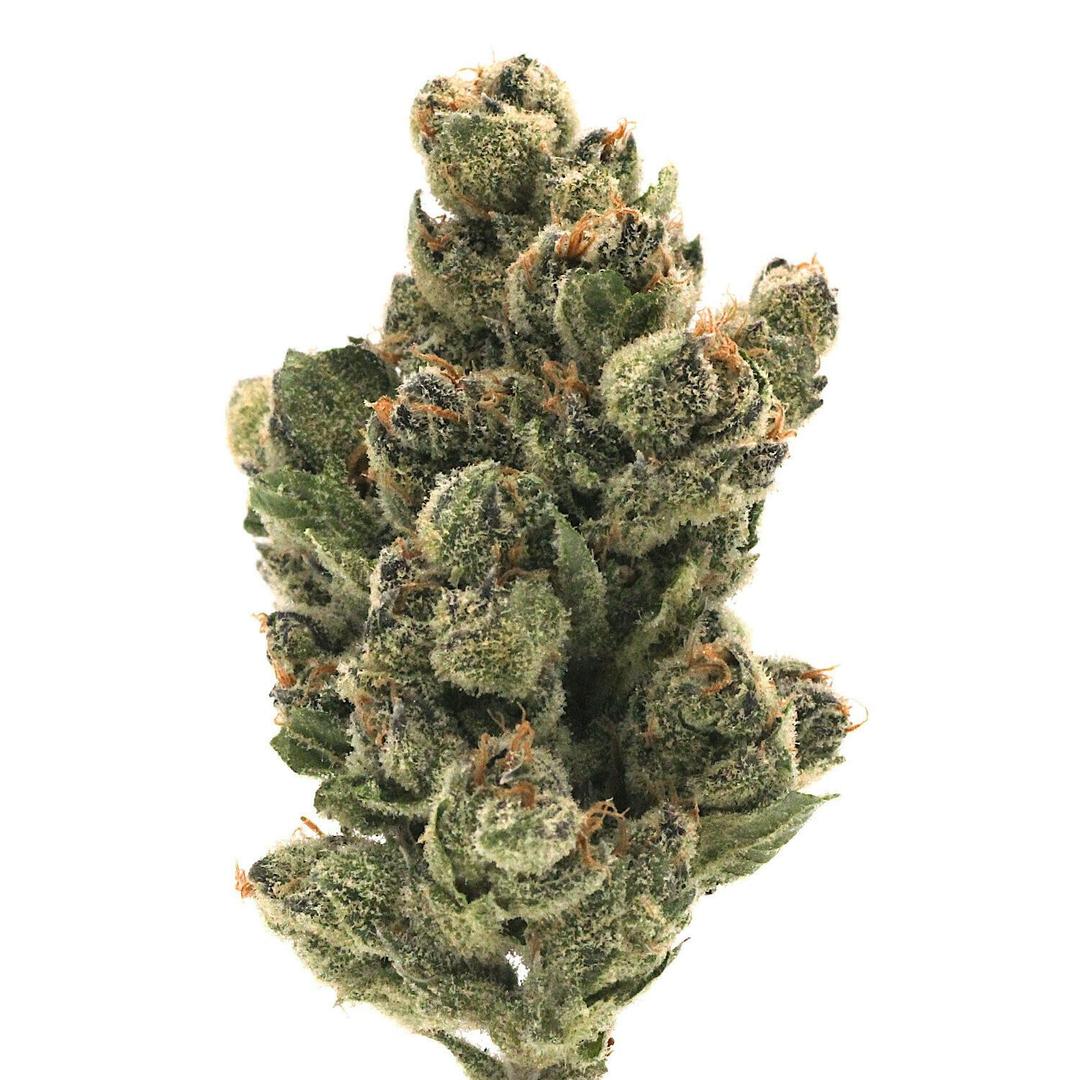 Pink Certz | Flower | 3.5g