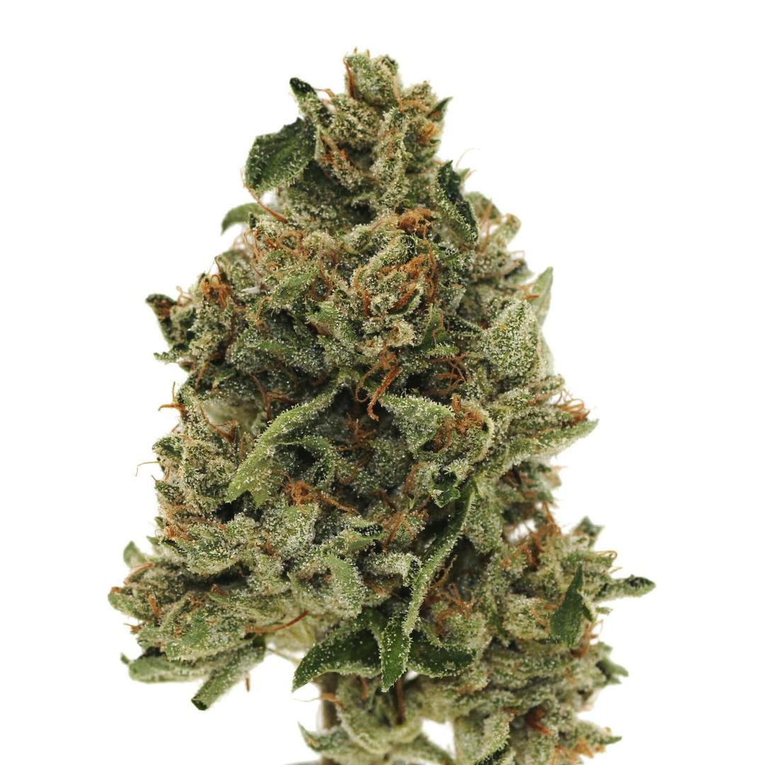 Press OG | Flower | 14g