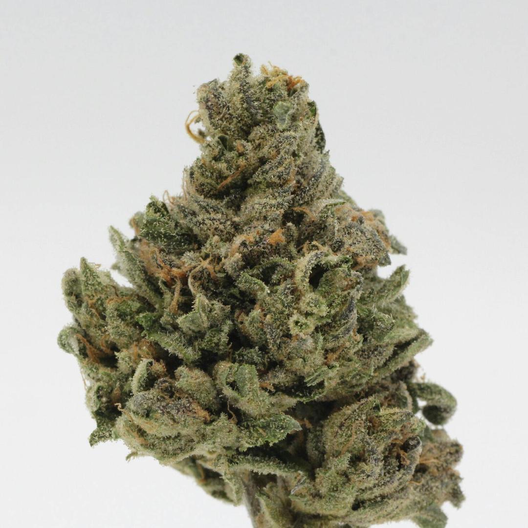 Rainshadow Runtz | Flower | 1g
