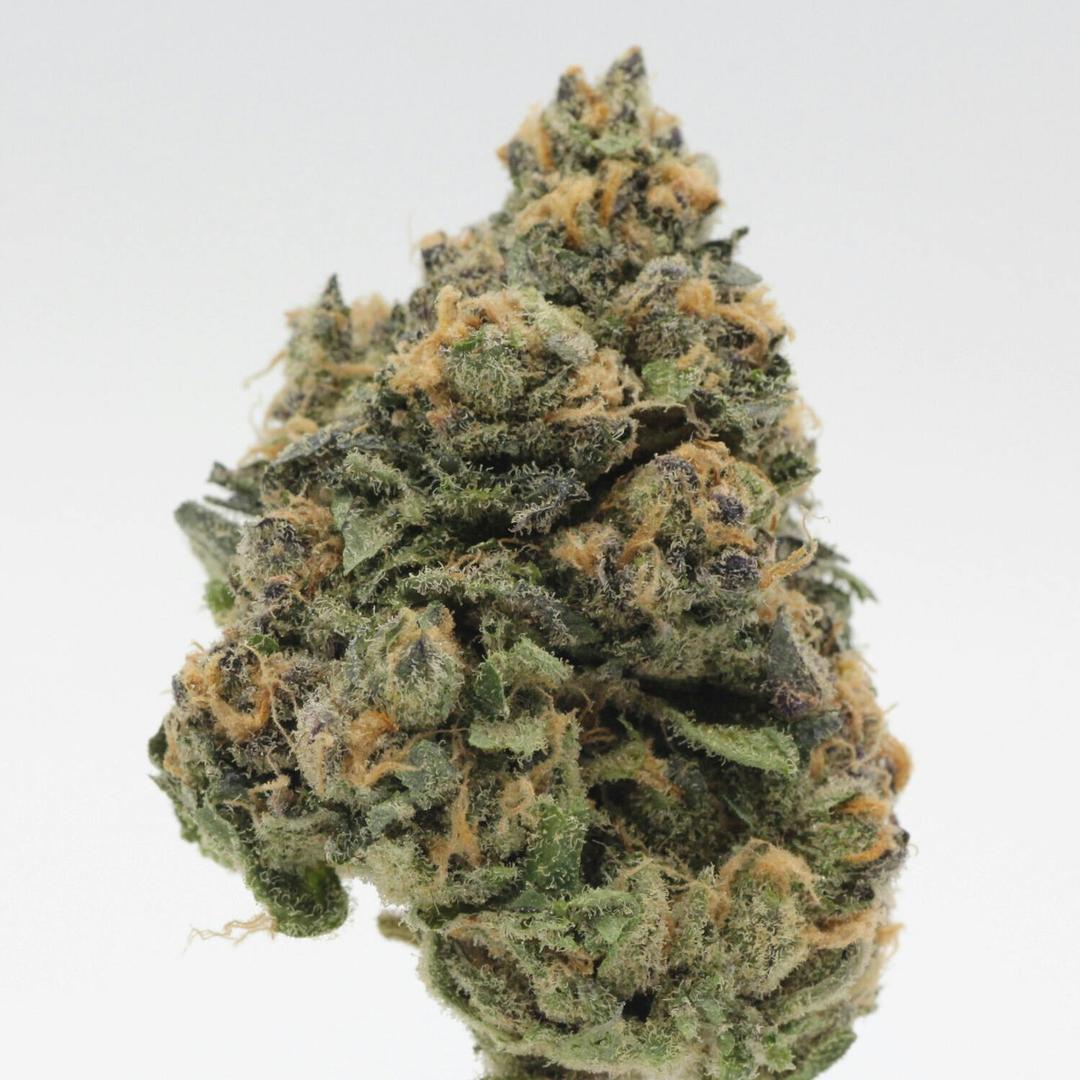Stardawg Gelato | Flower | 14g