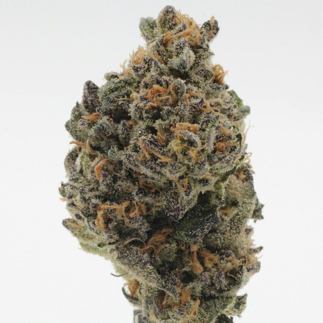 XYZ | Flower | 7g