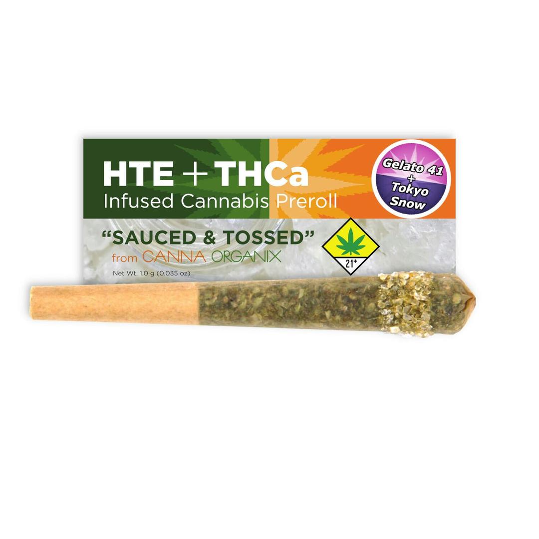 Gelato 41 x Tokyo Snow | Sauced n Tossed | Infused Pre Roll | 1g