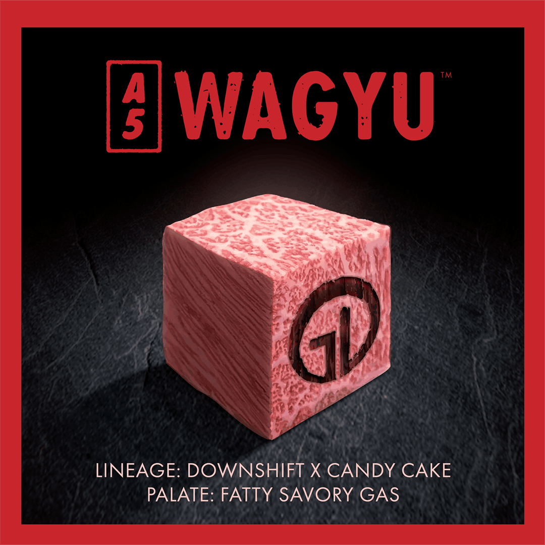 GDL Black Label Live Resin Cartridge (1g) | A5 Wagyu