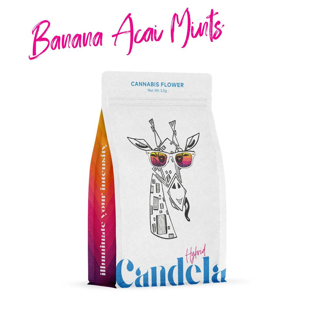 Candela Banana Acai Mints 3.5G Prepack