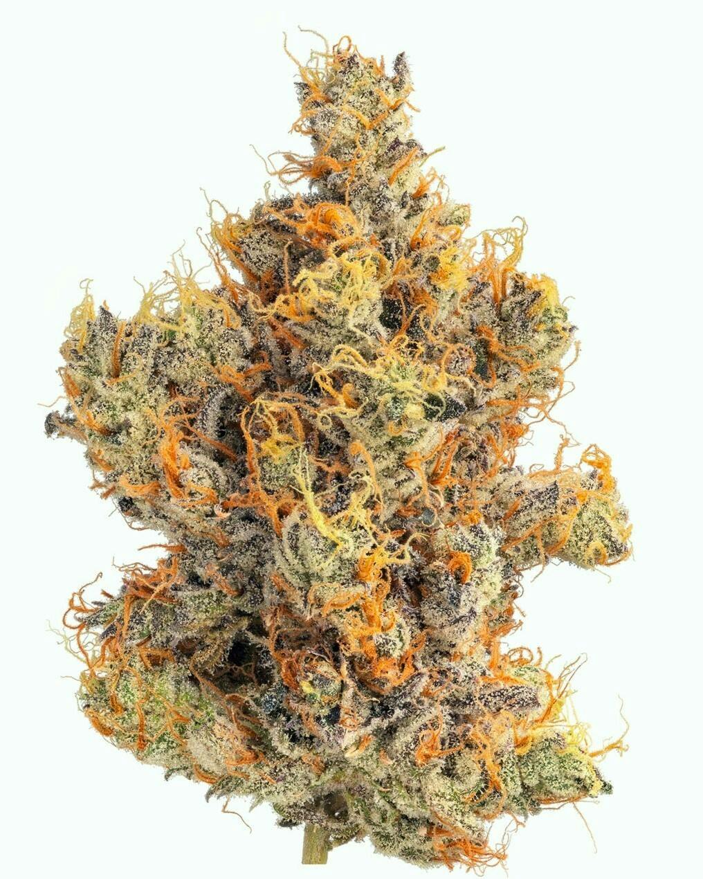 747 Flower