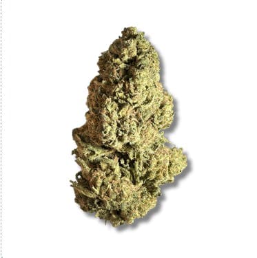 Black - Cherry Gelato (H) - 14g