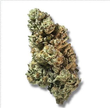 Exotix - Blue Dream (S) - 14g