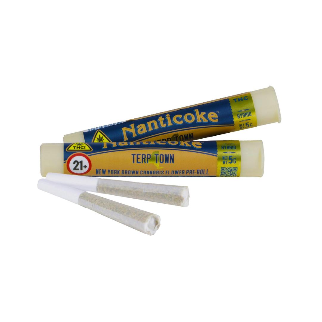 TERP TOWN 0.5G PRE-ROLL JOINT