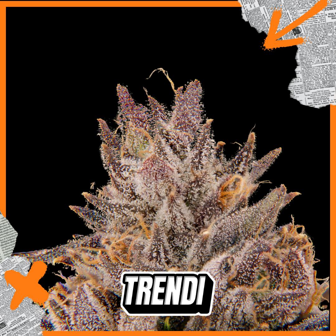 FR Rose Killer Prepack | 3.5g