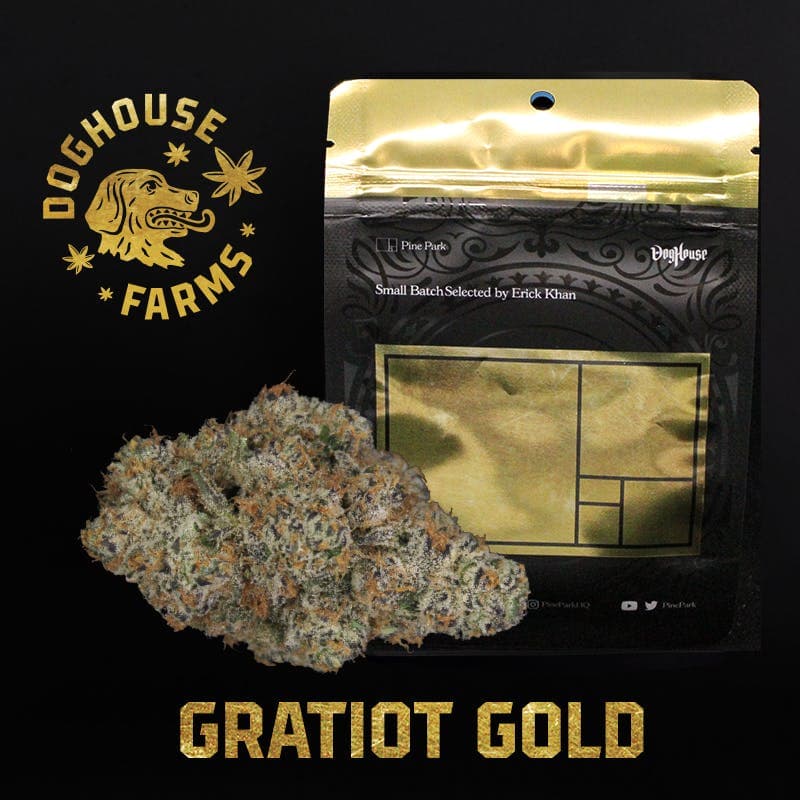 Gratiot Gold by Pine Park - 3.5g Mylar Bag - Sativa