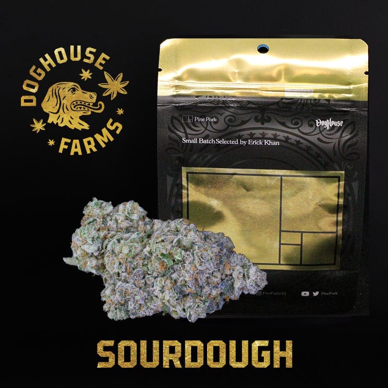 Sourdough by Pine Park - Flower - Indica