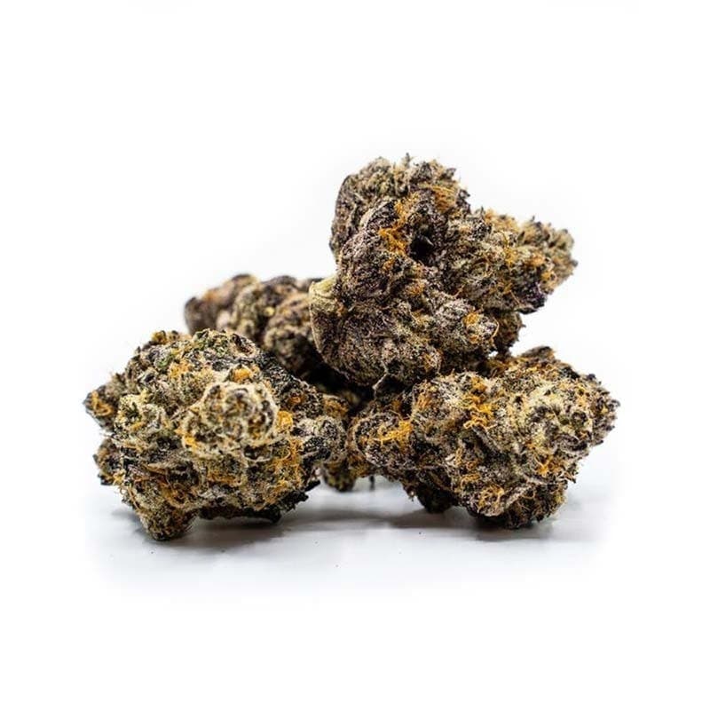 Push Pop (COOKIES & CREAM X TEMPLE FLO) - 3.5g Baby Nugs