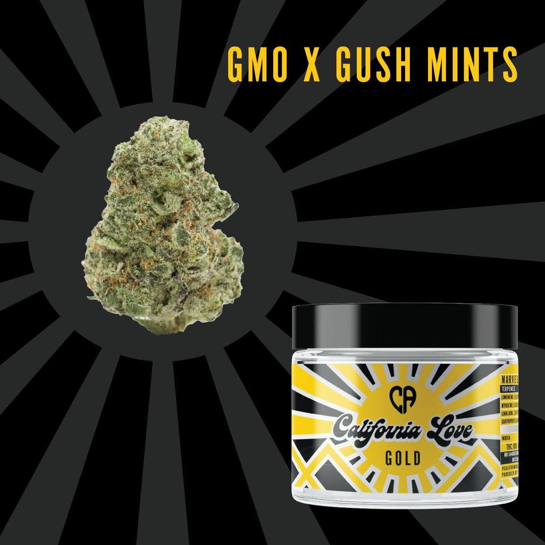 3.5g Gold | GMO X Gush Mints