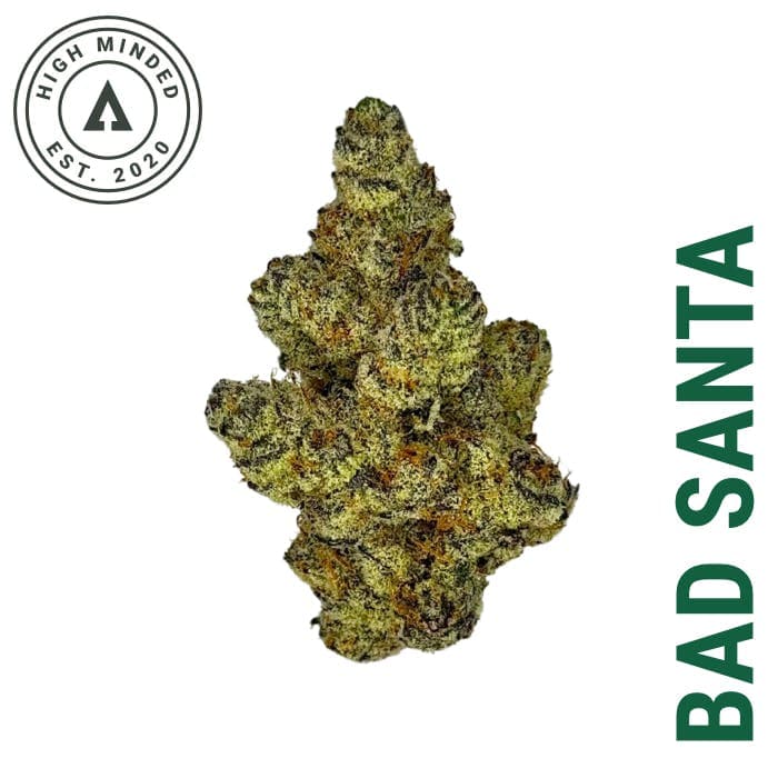 Bad Santa