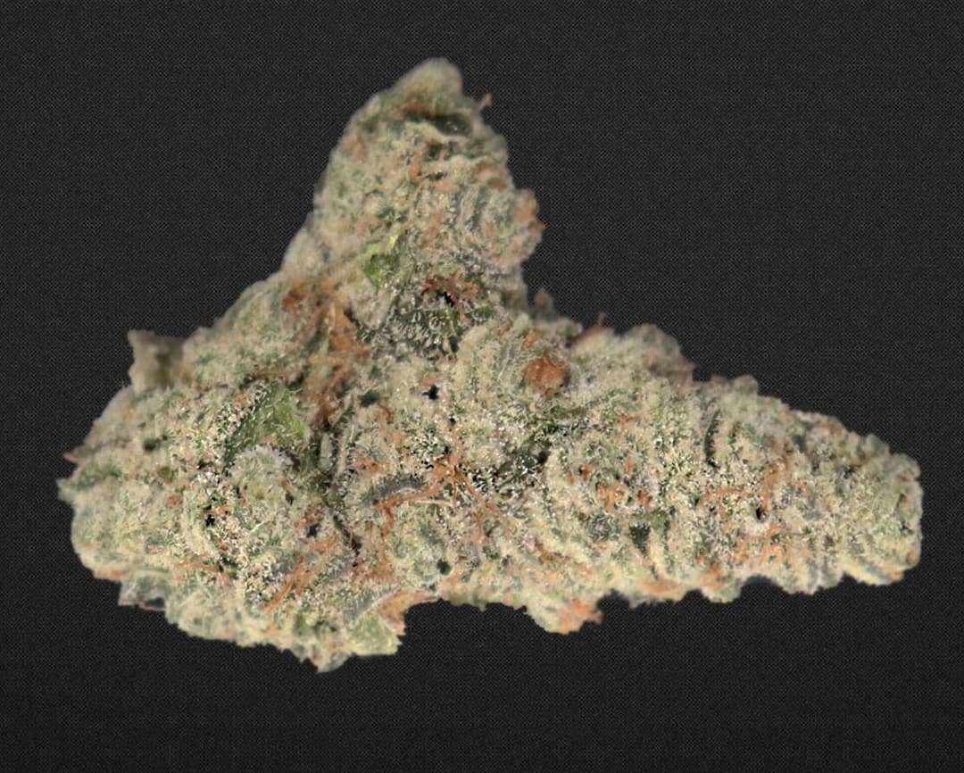 BRIXX - Diesel