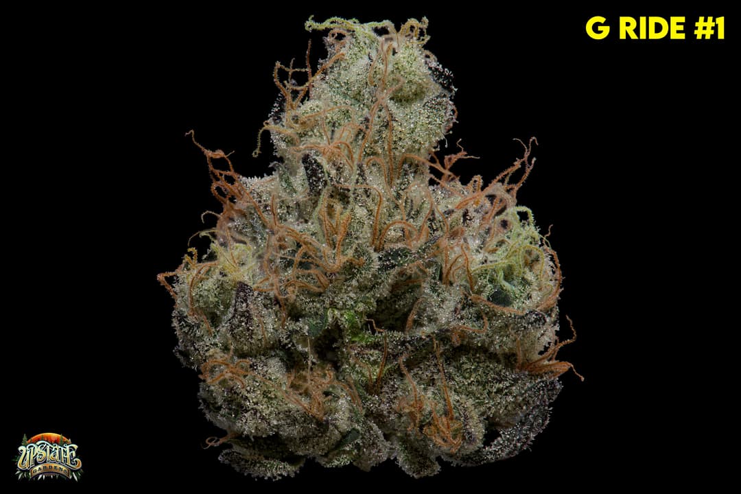 Flower: G-Ride