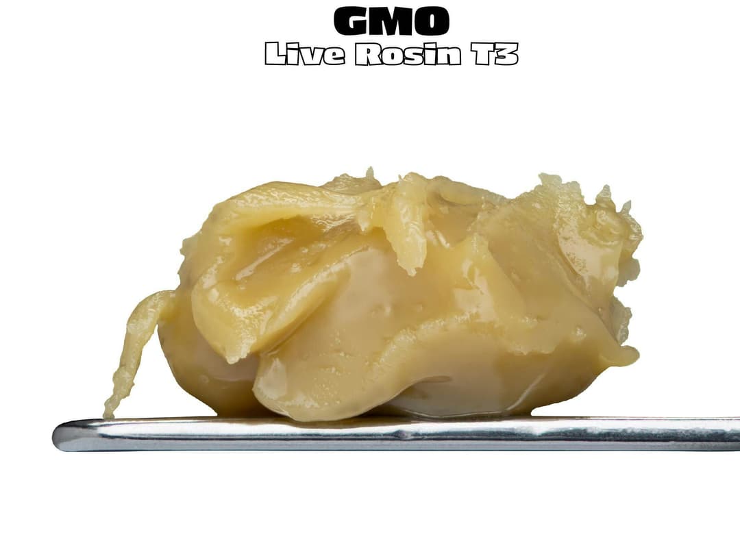 1g GMO T3 Live Rosin