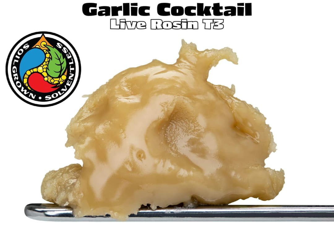 1g Garlic Cocktail Live Rosin T3