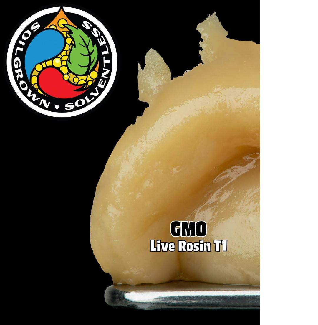 1g GMO Live Rosin T1