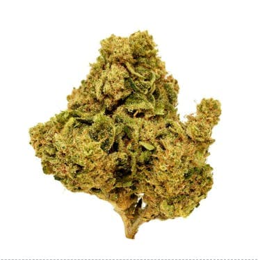 BLACK - Town Berries (I) - 14g