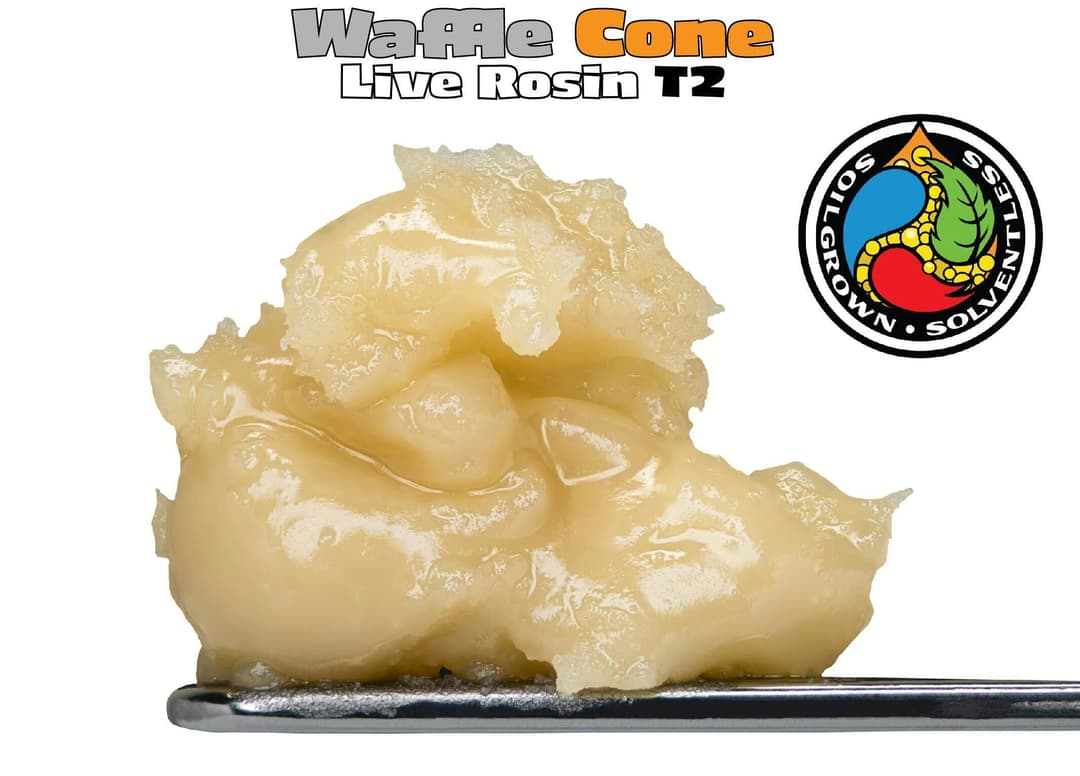 1g Waffle Cone Live Rosin T2