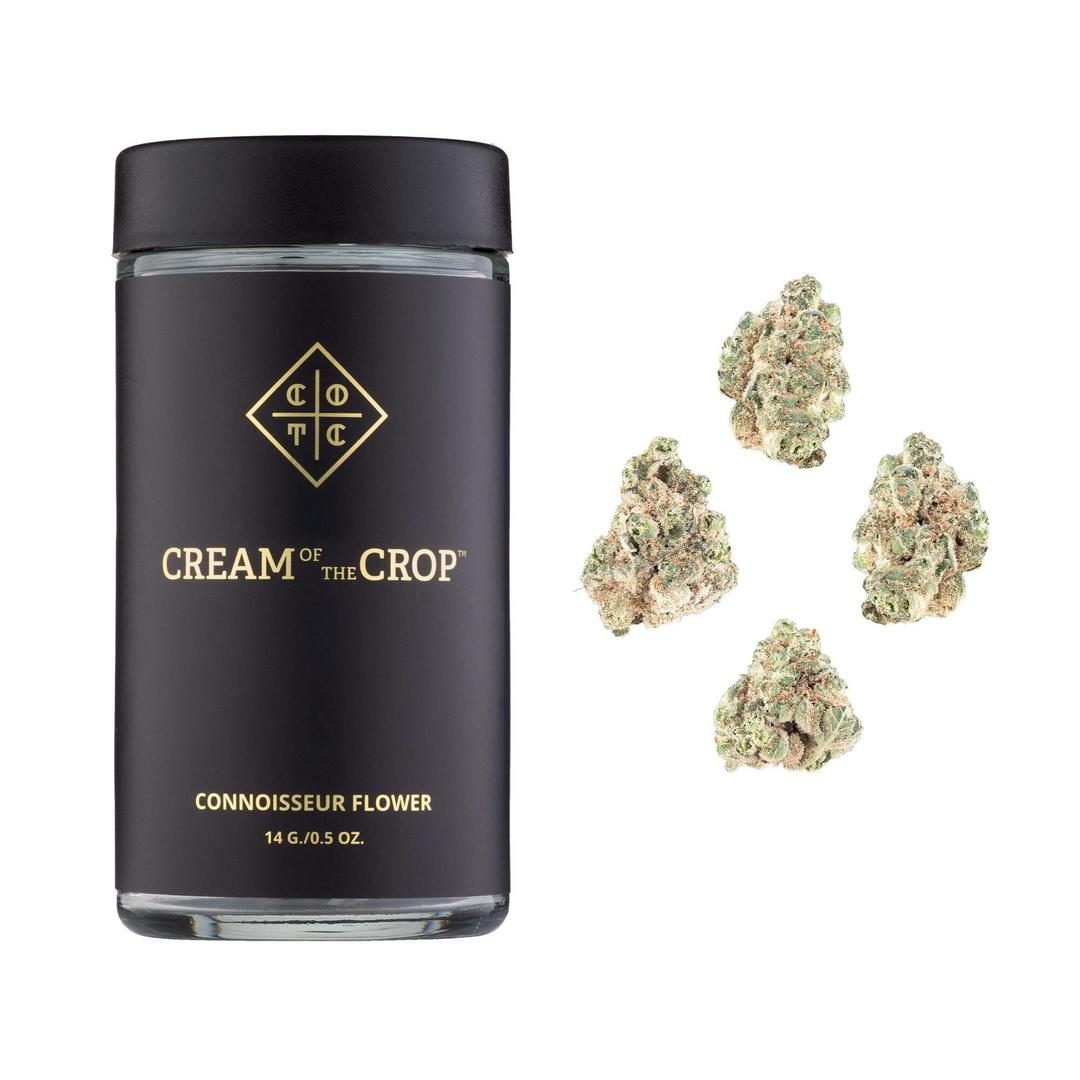Dragon Spritz | 14g | Smalls