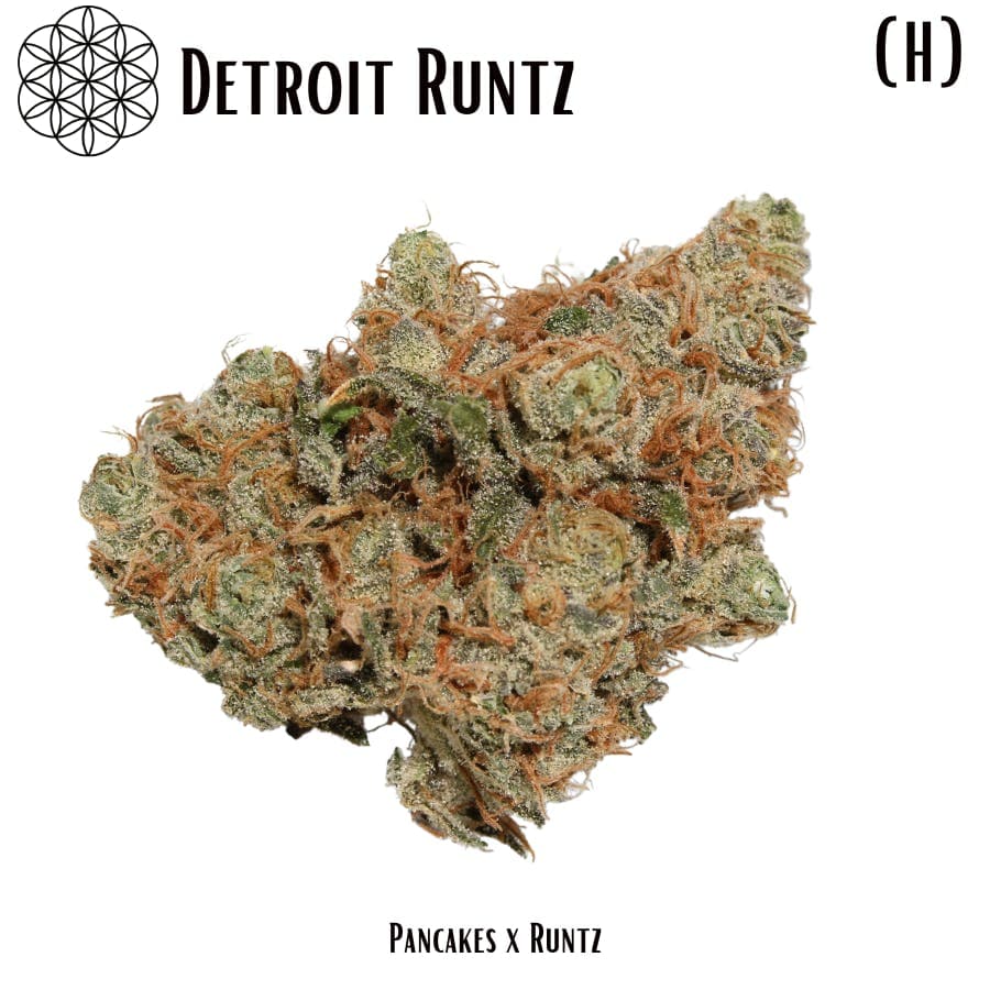 Detroit Runtz Flower