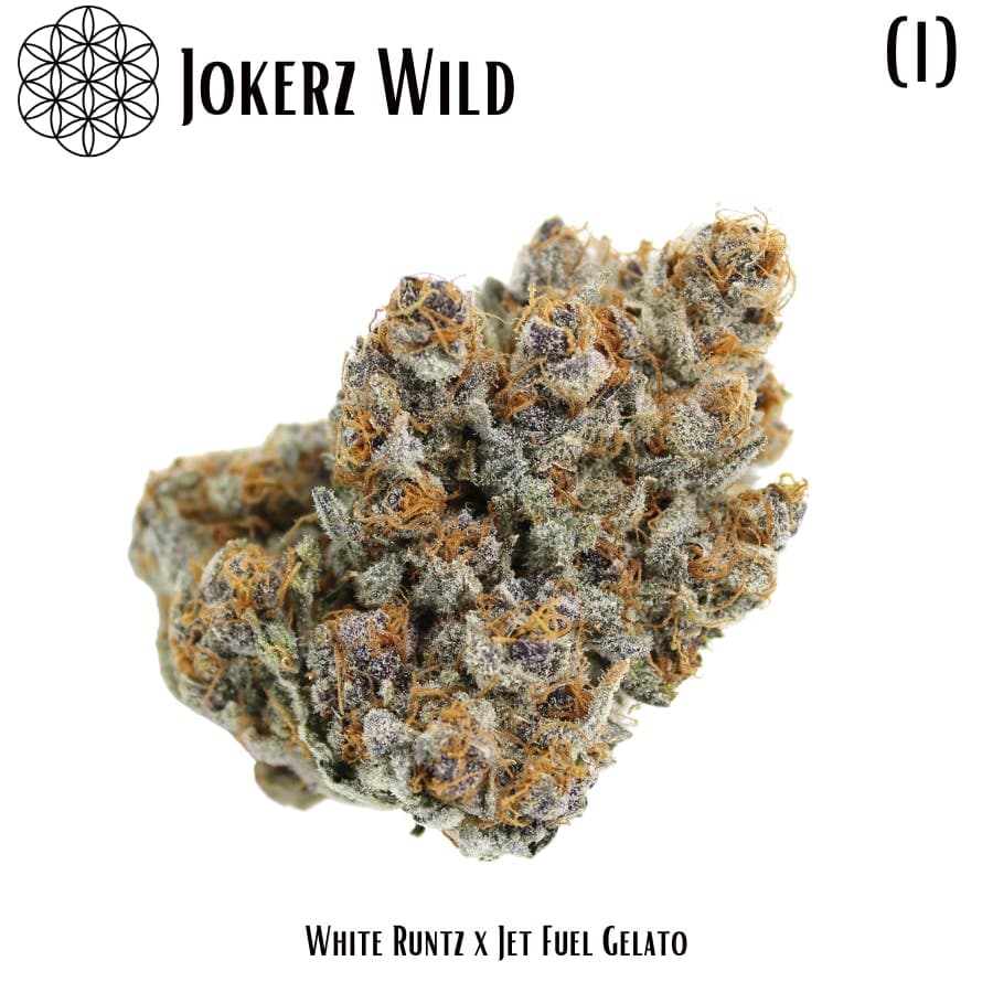 Jokerz Wild Flower