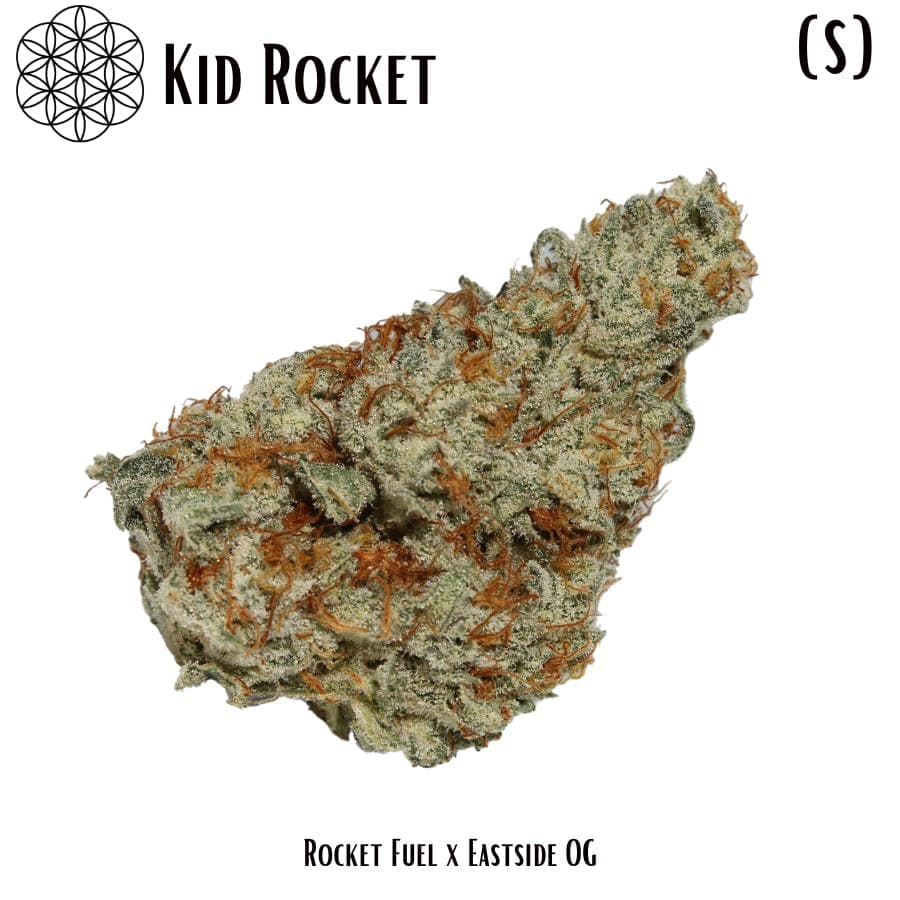 Kid Rocket Flower