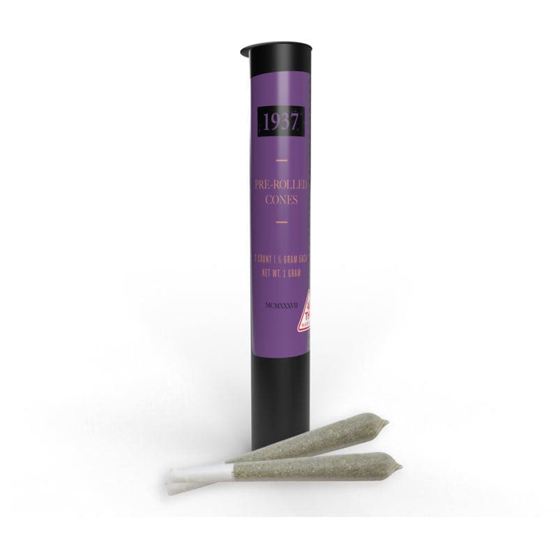 Ultimate Purple - 2pk