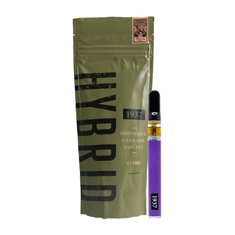 Gelato - Disposable