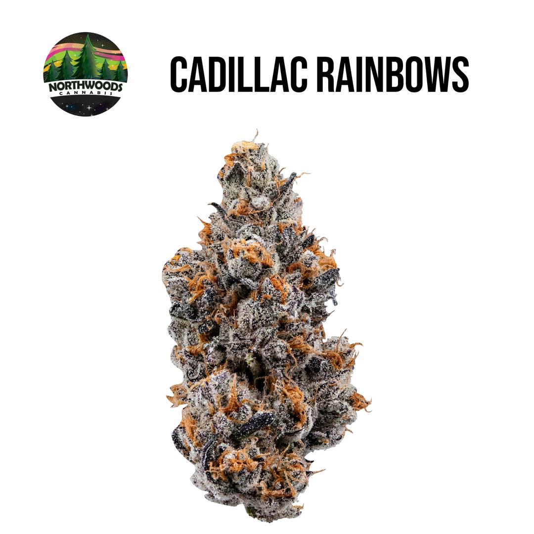 Cadillac Rainbows Flower