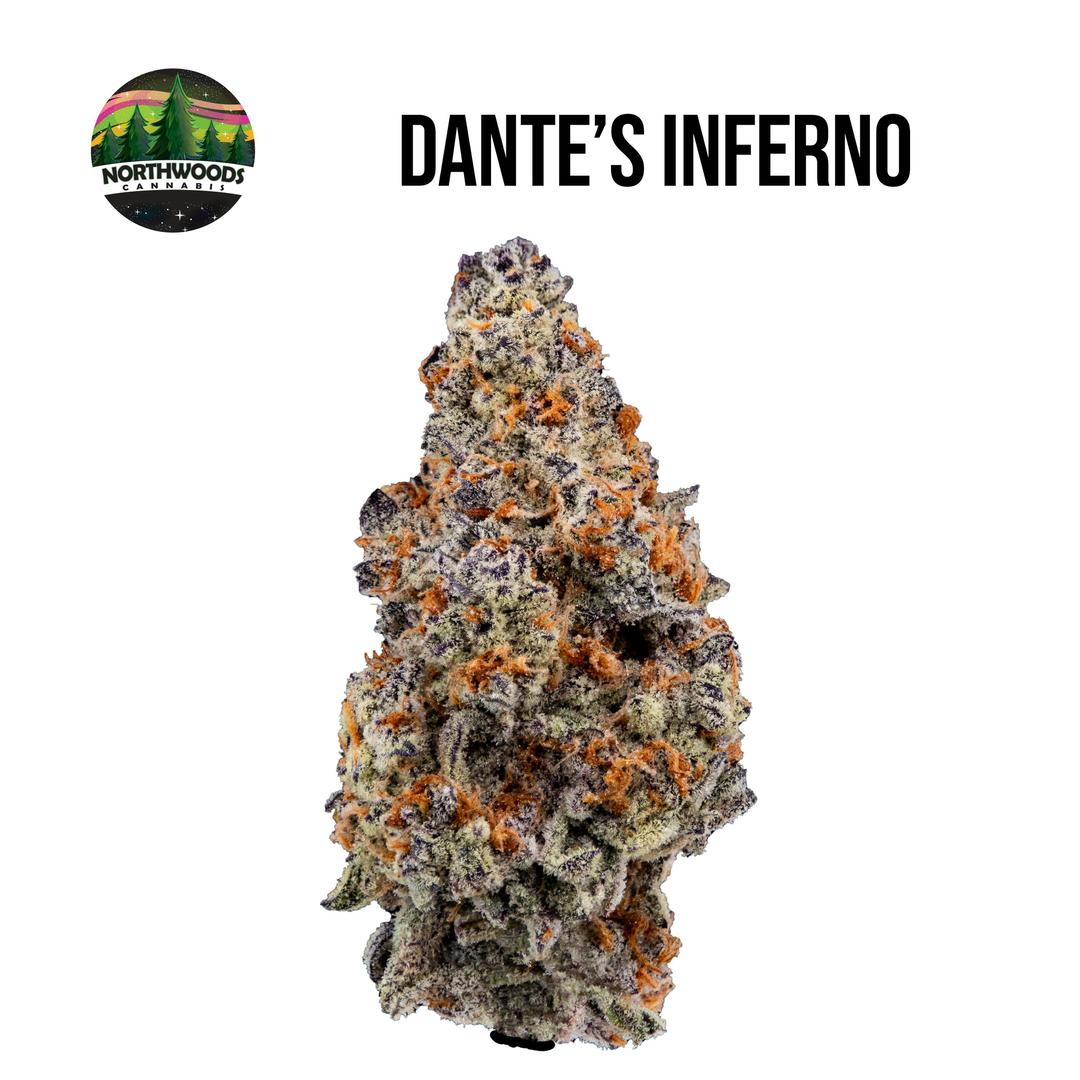 Dantes Inferno Flower