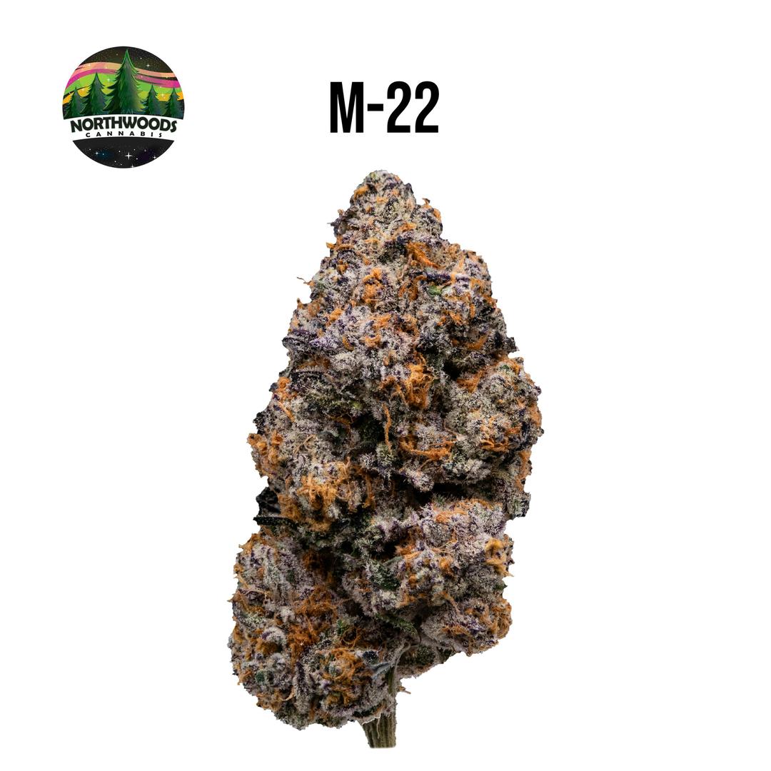 M-22 Flower