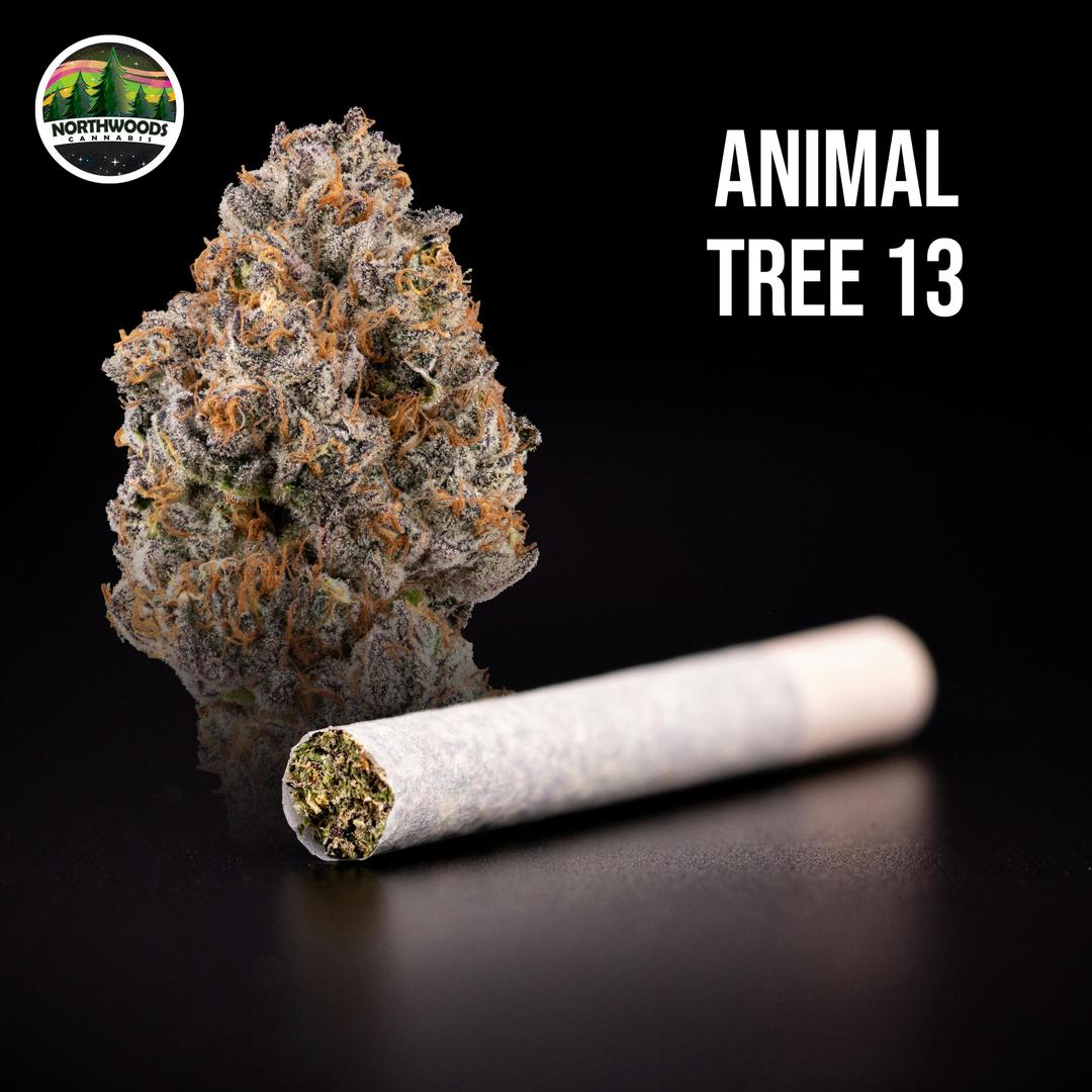 Animal Tree 13 Pre-Roll
