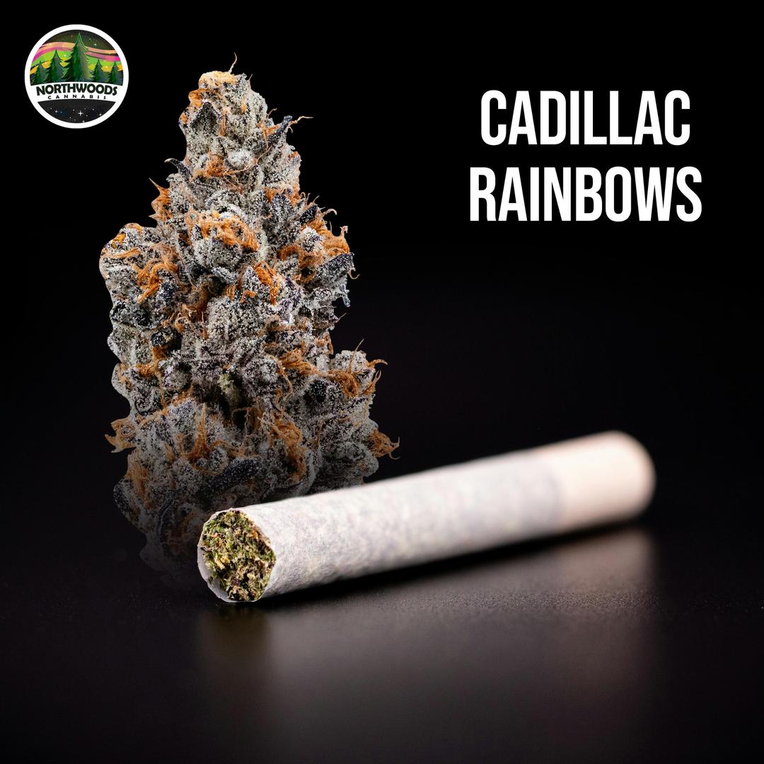 Cadillac Rainbows Pre-Roll