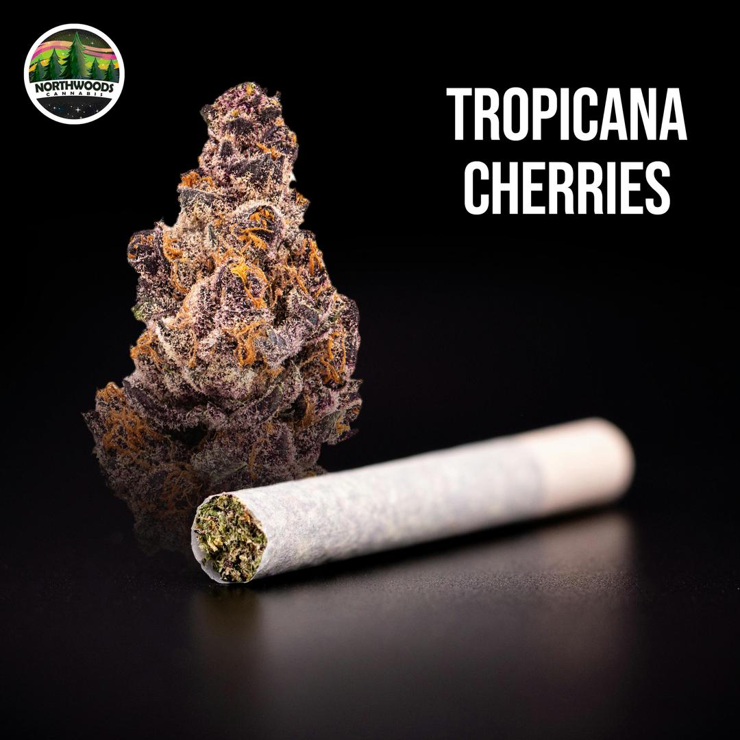 Tropicana Cherries Pre-Roll