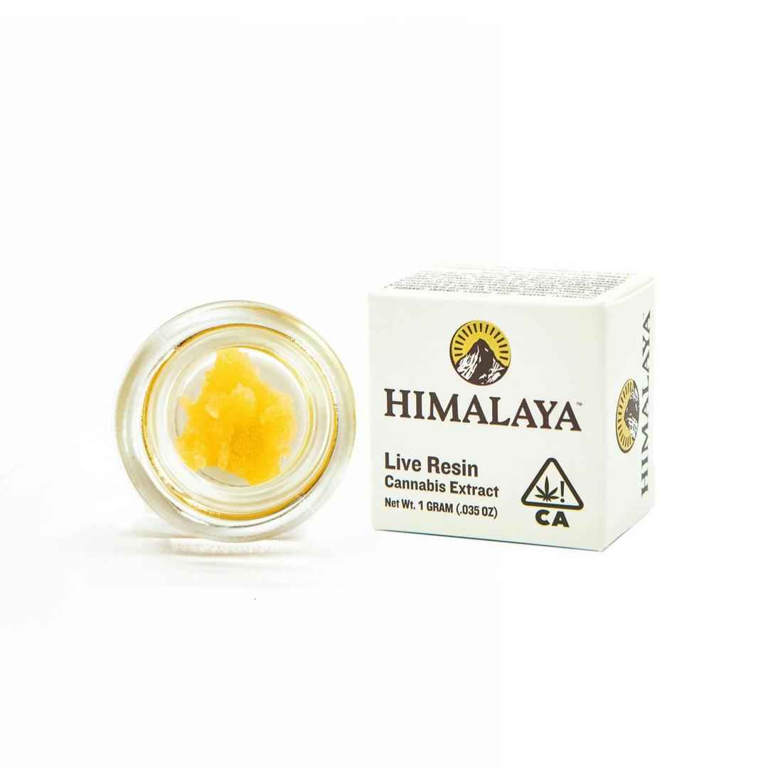 Tropical Brainstorm (Live Resin Concentrate) -1G