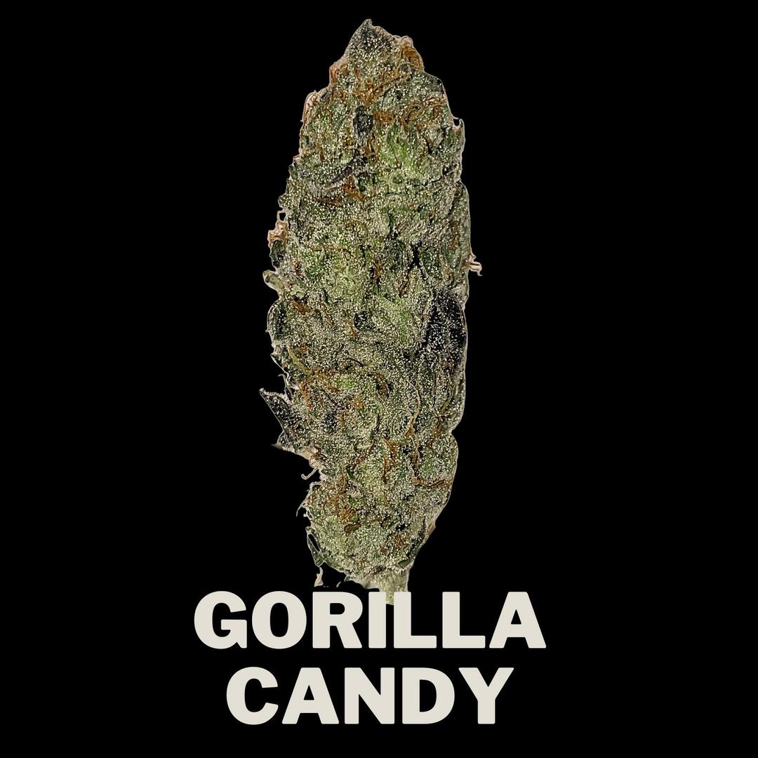 Gorilla Candy Gold Edition