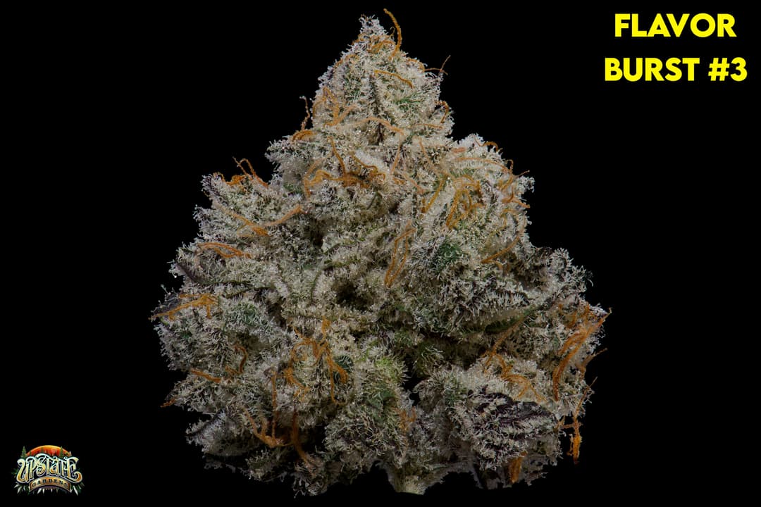 Flower: Flavor Burst #3