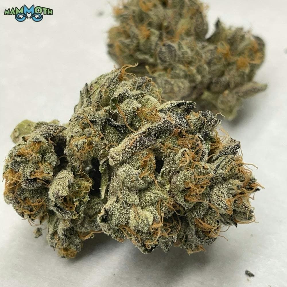Animal Gas