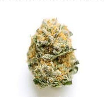 Smoakland - RS-11 (H) - 28g