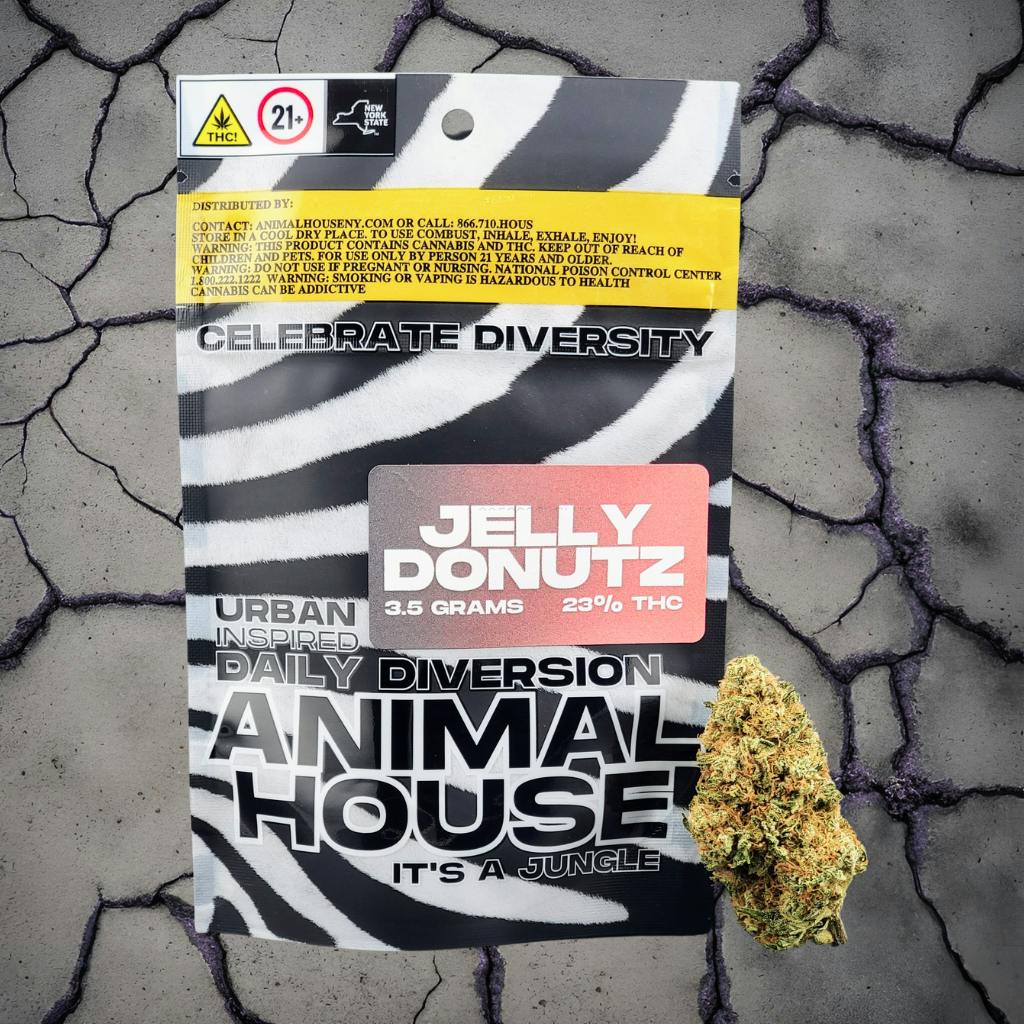 Jelly Donutz - Hybrid