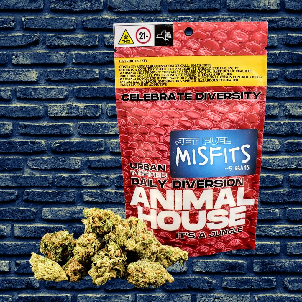 Jet Fuel Misfits
